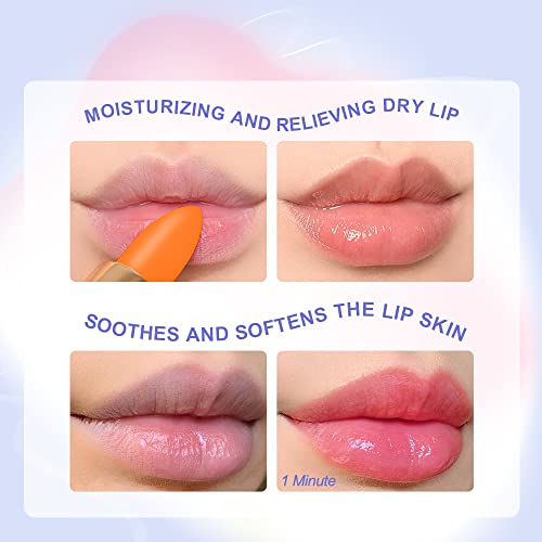 SACE LADY 3 Colors Moisturized Tinted Lip Balm Set, SACE LADY Long Lasting Color Changing Lipstick Kit