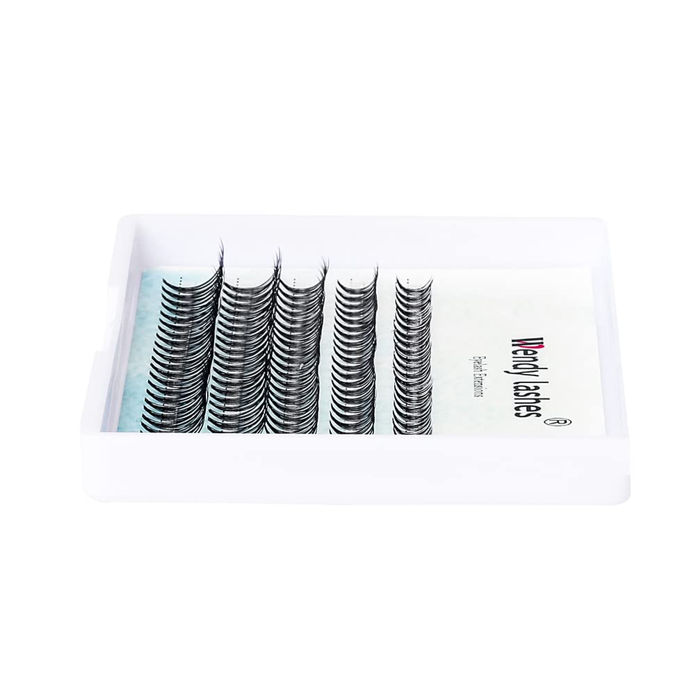 Individual Cluster Lashes 30D/40D Mixed Natural Eyelash Clusters